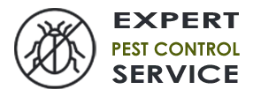 Expert Exterminator Co Redmond WA